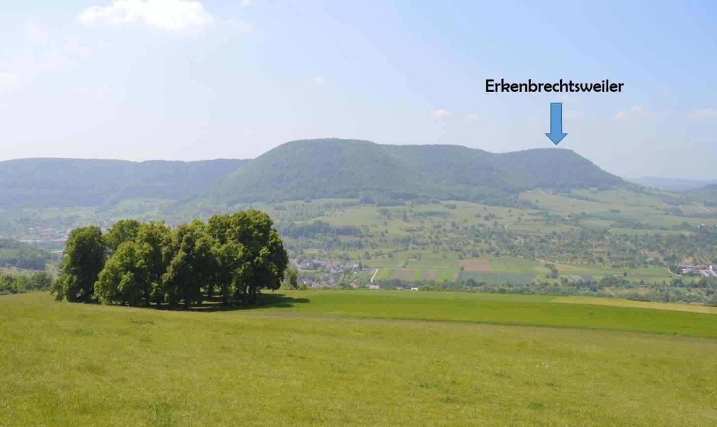 Fewo-Alb-Traum Erkenbrechtsweiler Экстерьер фото