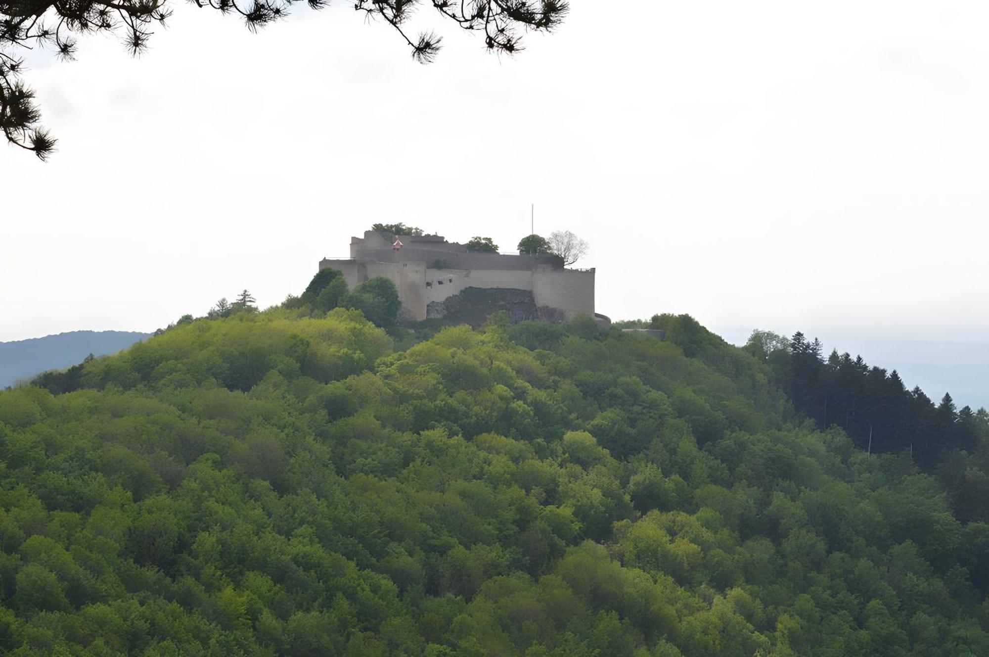 Fewo-Alb-Traum Erkenbrechtsweiler Экстерьер фото