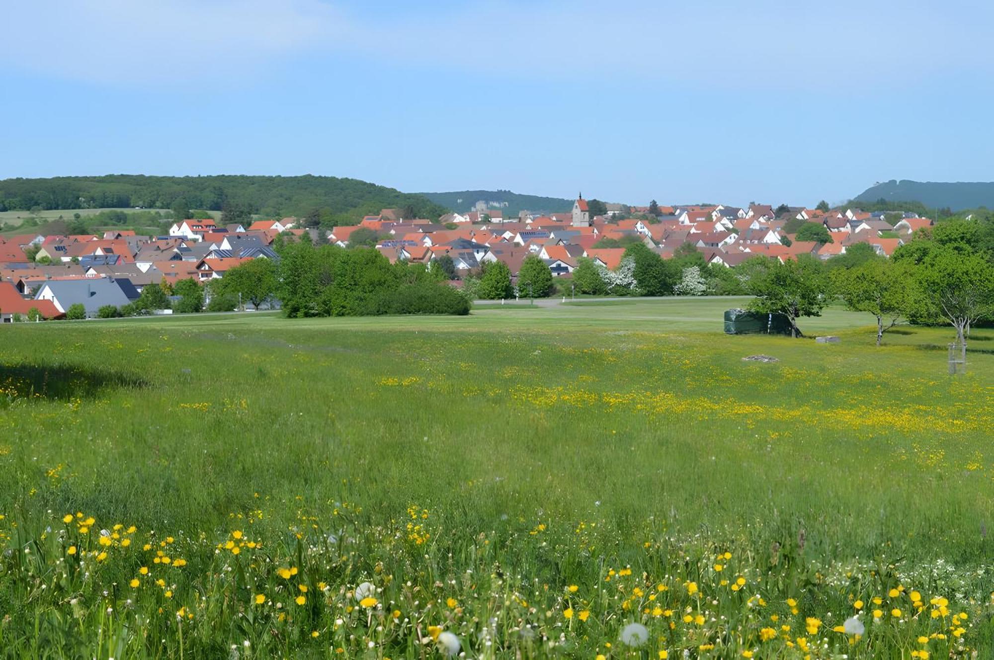 Fewo-Alb-Traum Erkenbrechtsweiler Экстерьер фото